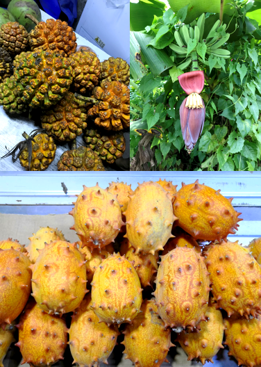 青春飞扬—K8凯发国际2019“巽寮湾双月湾之旅”