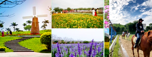 青春飞扬—K8凯发国际2019“巽寮湾双月湾之旅”